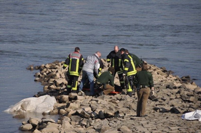 Einsatz BF Koeln Person im Rhein Rheinkassel P28.jpg